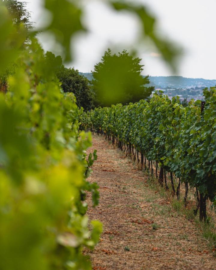 Tenuta Ronco Regio San Fermo della Battaglia Eksteriør billede